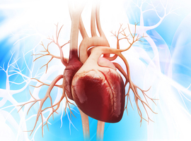 Réhospitalisations après remplacement de la valve aortique par chirurgie ou par voie percutanée