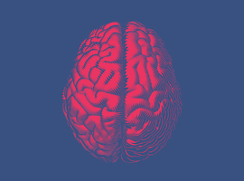 Neuralink (Musk) annonce être autorisée à tester ses implants cérébraux sur des humains
