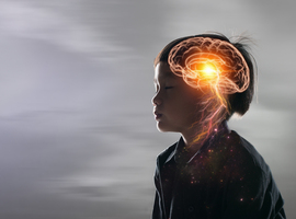 De theorieën achter de neurocognitieve ontwikkeling bij kinderen met dravetsyndroom