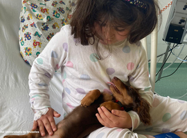 Tika, une chienne de soutien thérapeutique, arrive à l'Hôpital des Enfants Reine Fabiola