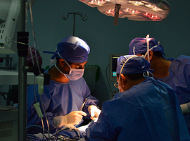 Transplantation intestinale: l’expérience louvaniste