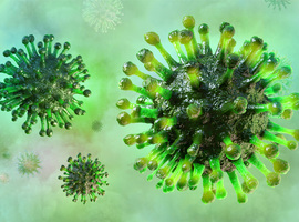 Coronavirus - Risico op besmetting voor mensen die niet naar China zijn gereisd (WHO)
