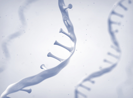 Innovations en dermatogénétique