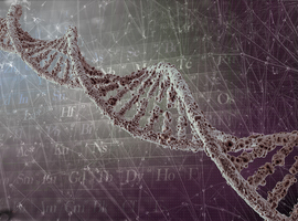 Genetica: wat betekent dat voor de patiënt, de samenleving en de ziekteverzekering?