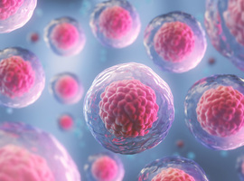 Wetsvoorstel eiceldonatie versterkt vrees voor minder donoren