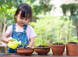 Welke medicinale planten kunnen we in alle veiligheid aan kinderen aanraden?