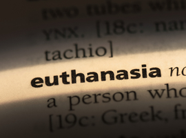 Het grote euthanasie debat - VERPLAATST