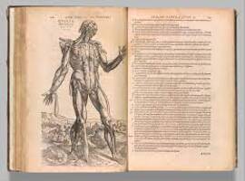 La KU Leuven célèbre le retour du traité d'anatomie 