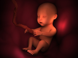 Limite de viabilité du fœtus:une zone grise aux limites mouvantes