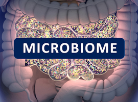 Microbiota: is alles verbonden?