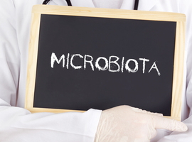 Microbiote fécal et spondylarthrites