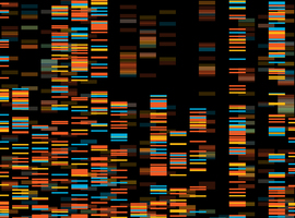 Médecine génomique: de nouvelles fonctions à l’horizon? 