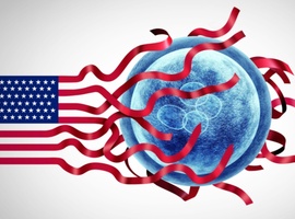 Ongeboren kinderen als verkiezingsthema in Amerika?