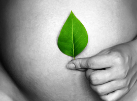 Les perturbateurs endocriniens au cœur d'une campagne visant les femmes enceintes