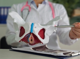 Résultats à court terme de la sacrocolpopexie avec fascia lata autologue
