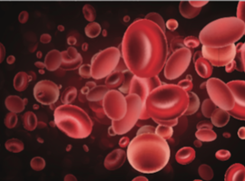 Machine learning voor de diagnose van bloedziekten: sneller, beter, goedkoper