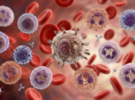 Onderzoek KU Leuven ontdekt nieuwe sleutelrol voor witte bloedcellen in werking vaccins