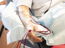 Drépanocytose : la Citadelle mobilise médecins et patients le 18 juin