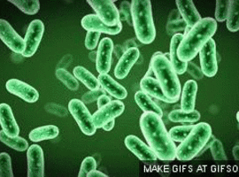 L'OMS recense les agents pathogènes cause possible de futures pandémies