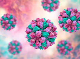 Uitbraak van norovirus bij ambulante patiënten op nierdialyse UZ Leuven