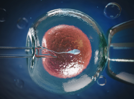 Taux de réussite des fécondations in vitro et nombre de grossesses après transfert d’embryon après un vaccin contre le Covid