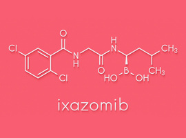 L’ixazomib en maintenance après transplantation autologue de cellules souches dans  le myélome multiple