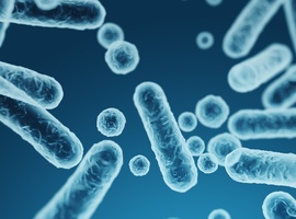 La bactérie Klebsiella à l'origine de la contamination de patients ayant passé un scanner