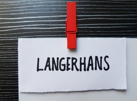 Van stamcellen tot volledig gedifferentieerde eilandjes van Langerhans