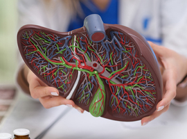 Tests non invasifs pour la fibrose associée à la MASLD: opportunités et défis pour les soins de première et de deuxième lignes