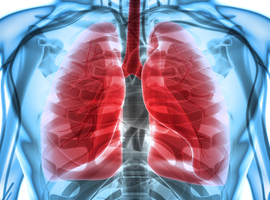 Le cancer du poumon reste le plus mortel, avec près de 6.500 décès par an en Belgique
