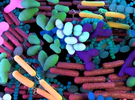 Le microbiome: une nouvelle cible thérapeutique du cancer?