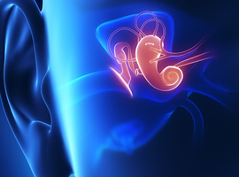 Afsud: premières greffes mondiales d'os de l'oreille moyenne fabriqués en 3D