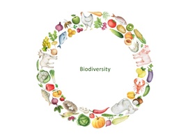 Qu’est-ce réellement la biodiversité alimentaire et quel est son lien avec le risque de mortalité?