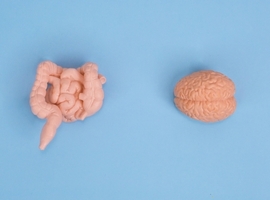 De link tussen microboom en mentale gezondheid