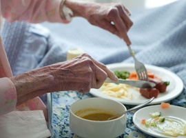 Fibres alimentaires et fonctions cérébrales chez la personne âgée