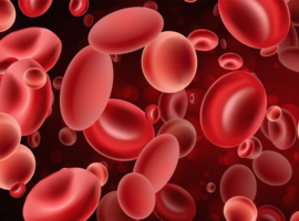 L'immunothérapie par cellules CAR-T remboursée dès juin pour deux formes de cancer du sang
