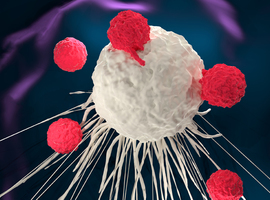 Brentuximab vedotin en T-cellymfoom