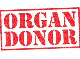Le nombre de Belges prêts à faire un don d'organe à un niveau record