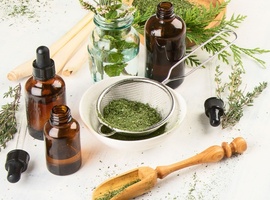 La phytothérapie des maux de l’hiver