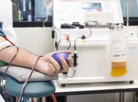 Rode Kruis-Vlaanderen opent donorcentra vaker voor plasmadonaties