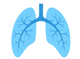 Trajectoires de la fonction pulmonaire et mortalité associée chez les adultes avec ou sans obstruction des voies aériennes