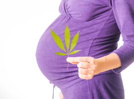 Effecten van prenatale blootstelling aan cannabis op de slaap bij kinderen van 9 tot 10 jaar