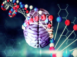 Nouvel éclairage de la génétique sur la psychiatrie