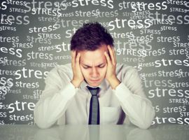 Le stress chronique, facteur de risque pour les maladies de Parkinson et d’Alzheimer?