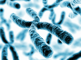 X-gebonden hypofosfatemie: een FGF-23-antagonist