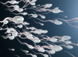 Ingevroren sperma van overleden echtgenoot binnenkort tien jaar bewaard