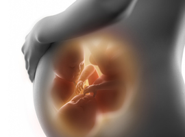 Le test prénatal non-invasif peut désormais aussi déterminer le sexe chez les jumeaux