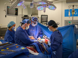 Wereldprimeur: chirurgen UZ Leuven transplanteren donorbuikwand zonder afstotingsmedicatie
