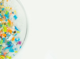 Opstapeling van kunststoffen in de hersenen bij de mens: een nieuw, dringend probleem voor de volksgezondheid