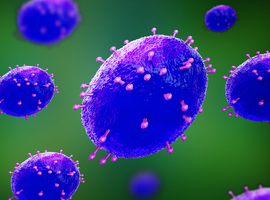 Mpox dans la population féminine: une série de cas datant de 2022